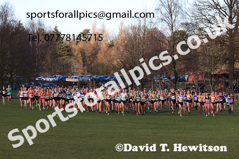Senior womens 2025 Northern Cross Country Champs, Tatton Park, Knutsford, Cheshire. Photo: David T. Hewitson/Sports for All Pics